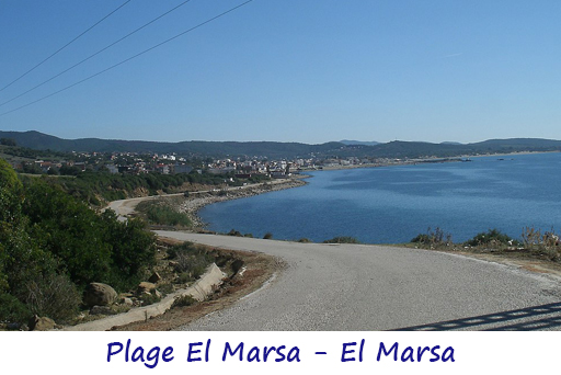 marsa marsa.jpg